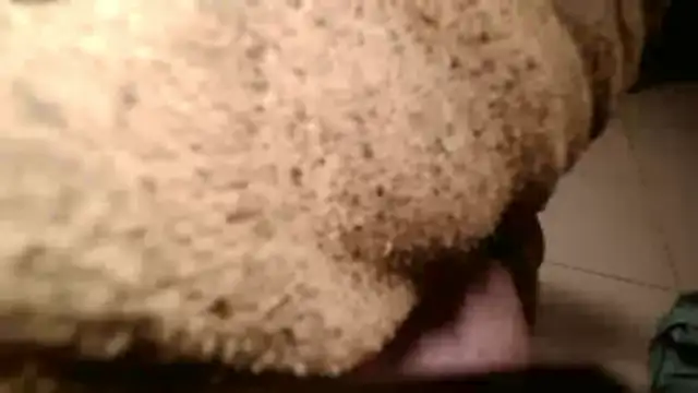 Dan3106x online show from 03/19/26, 07:07