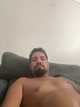 adgato online show from 02/20/26, 01:13