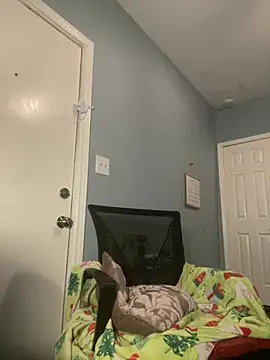 wishwashhy22 online show from 01/09/25, 05:22