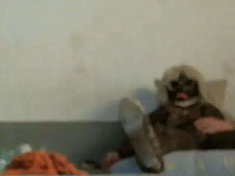 qwer1234 online show from 03/05/26, 05:47