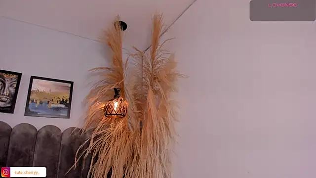 cute  cherry  online show from 04/14/26, 08:26