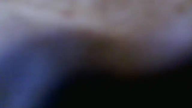 Taylorsexbot online show from 04/17/26, 11:46