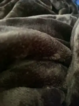 ft2022W online show from 03/07/26, 06:16