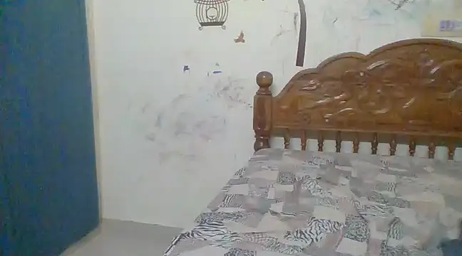 giftvijay1 online show from 12/30/24, 05:34