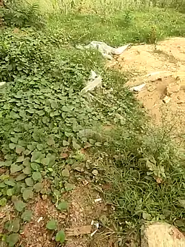 COUPLLE VILLAGE online show from 05/19/26, 01:44
