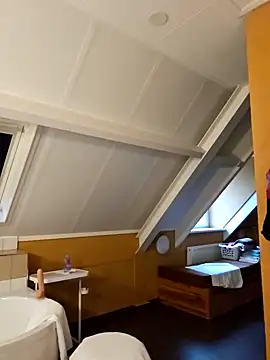 MarleneBloem online show from 12/31/24, 01:52