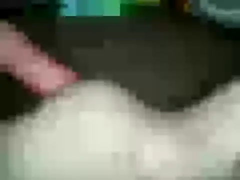 xxxlecram online show from 01/15/25, 02:56