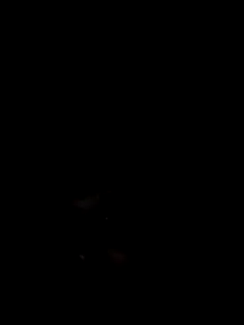 Snapshot of Mailsonp chatting on 02/07/26, 05:55 Mailsonp online show from 02/07/26, 05:55