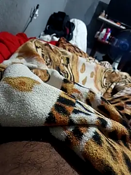 Snapshot of Mailsonp chatting on 02/26/26, 03:33 Mailsonp online show from 02/26/26, 03:33