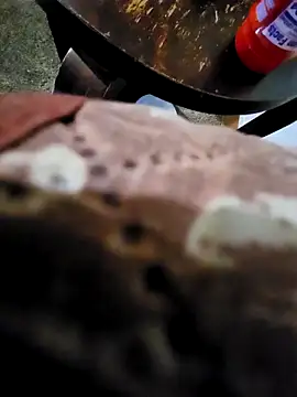 pajarol5co online show from 01/26/25, 12:16