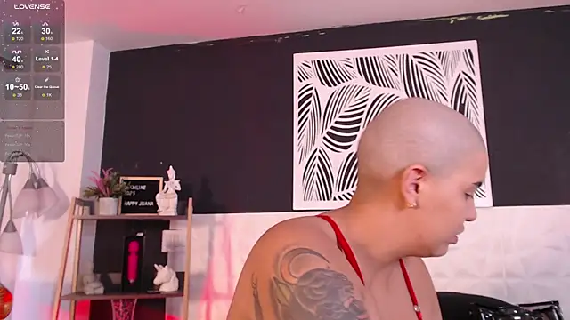 WildyTemping online show from 03/01/25, 04:11