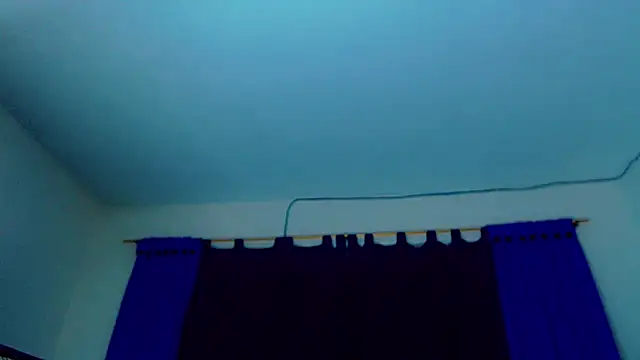 Pamela Dior online show from 12/03/25, 05:26