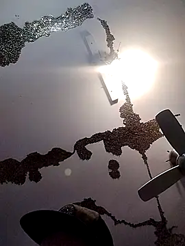 ColdVisitor online show from 03/21/25, 06:38