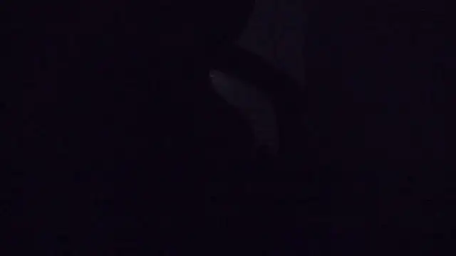 SouTarado69 online show from 03/21/25, 11:45