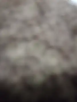 Wedgie boy online show from 03/01/26, 12:12