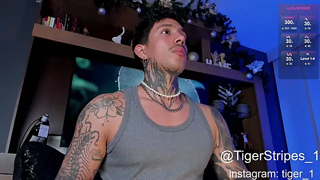 Snapshot of TigerStripes1_ chatting on 01/04/25, 04:44 TigerStripes1 online show from 01/04/25, 04:44