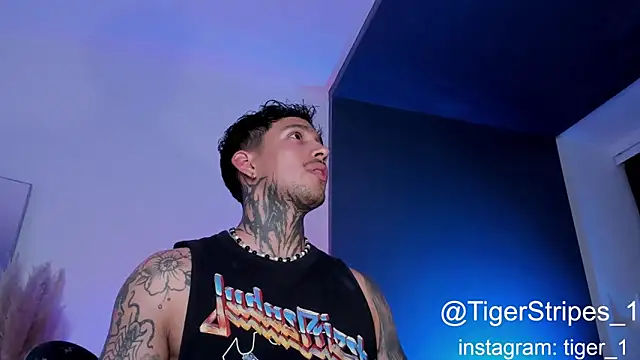 Snapshot of TigerStripes1_ chatting on 02/01/25, 02:37 TigerStripes1 online show from 02/01/25, 02:37