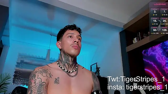 Snapshot of TigerStripes1_ chatting on 02/12/25, 12:05 TigerStripes1 online show from 02/12/25, 12:05