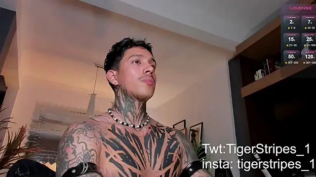 Snapshot of TigerStripes1_ chatting on 02/22/25, 01:11 TigerStripes1 online show from 02/22/25, 01:11