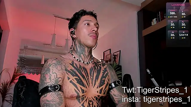 Snapshot of TigerStripes1_ chatting on 02/22/25, 04:18 TigerStripes1 online show from 02/22/25, 04:18
