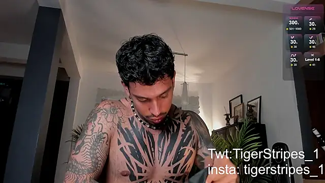 Snapshot of TigerStripes1_ chatting on 02/28/25, 12:43 TigerStripes1 online show from 02/28/25, 12:43