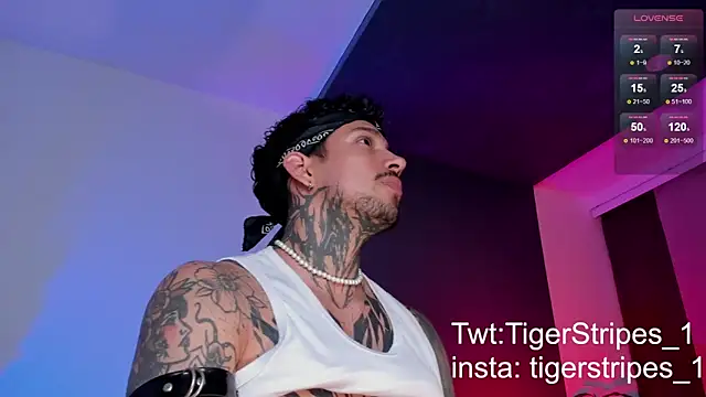Snapshot of TigerStripes1_ chatting on 03/11/25, 10:42 TigerStripes1 online show from 03/11/25, 10:42
