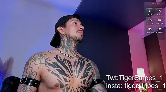 Snapshot of TigerStripes1_ chatting on 03/16/25, 12:56 TigerStripes1 online show from 03/16/25, 12:56