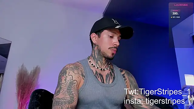 Snapshot of TigerStripes1_ chatting on 03/19/25, 12:59 TigerStripes1 online show from 03/19/25, 12:59