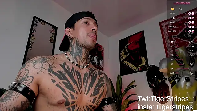 TigerStripes1  online show from 03/24/26, 02:55