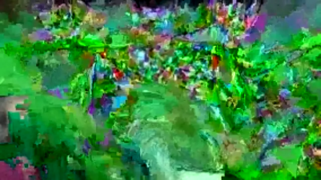 bigdon5169 online show from 05/01/26, 02:54