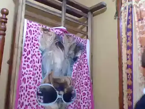 sweetbabra1 online show from 02/11/25, 05:58