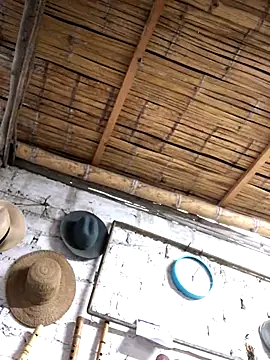 kvr27 online show from 11/03/25, 11:00