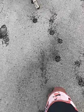 kvr27 online show from 02/24/26, 01:20