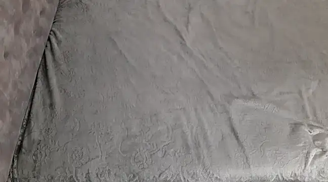 Snapshot of lili_70 chatting on 12/08/24, 02:19 lili 70 online show from 12/08/24, 02:19