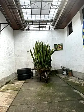 oliver price1 online show from 10/27/25, 07:18