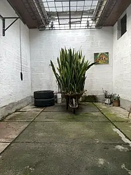 oliver price1 online show from 11/12/25, 09:14