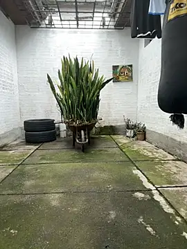 oliver price1 online show from 11/16/25, 08:03