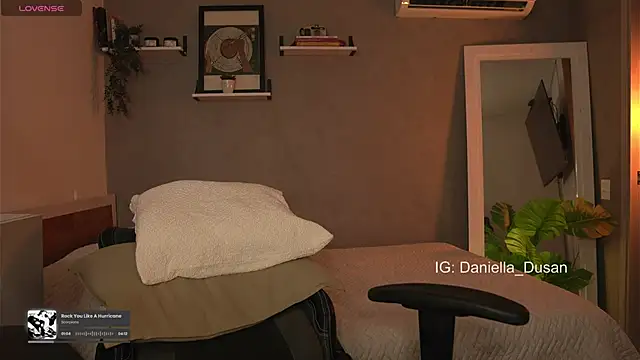 Snapshot of DaniDusan_ chatting on 01/01/25, 06:37 DaniDusan  online show from 01/01/25, 06:37