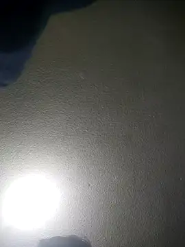 Elcogetuquieres online show from 01/07/26, 07:00